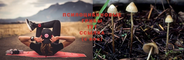 хмурый Покачи