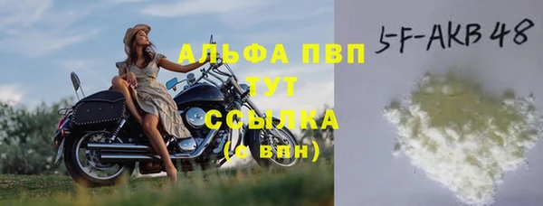 хмурый Покачи