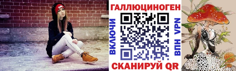 Галлюциногенные грибы мицелий Алзамай